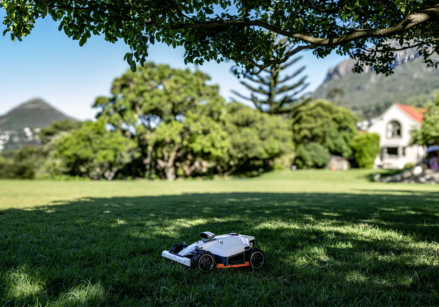 Robot tondeuse Mammotion LUBA 2 AWD dans un jardin